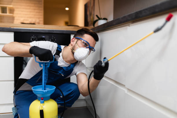 Best Flea Control Services  in Swepsonville, NC