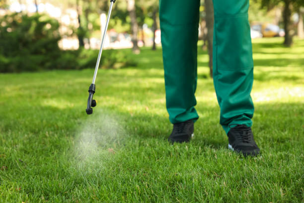 Best Flea Control Services  in Swepsonville, NC
