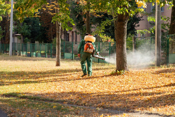 Best Pest Prevention Services  in Swepsonville, NC