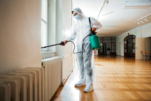 Flea Control Services in Swepsonville, NC