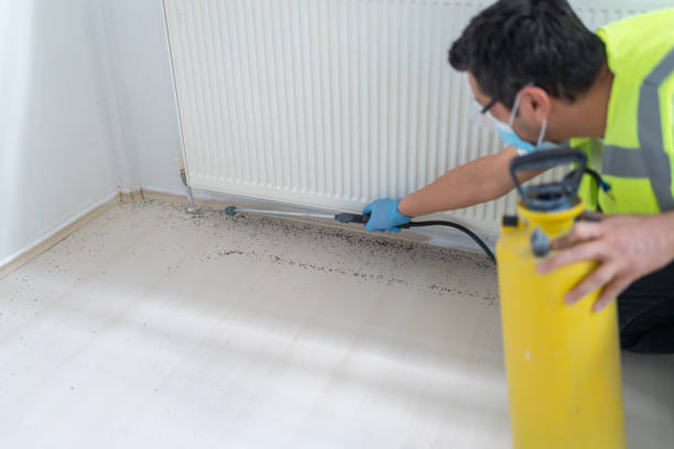 Pest Control for Restaurants in Swepsonville, NC